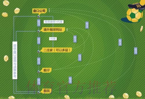 世界杯盘口平台深度解析与投注策略