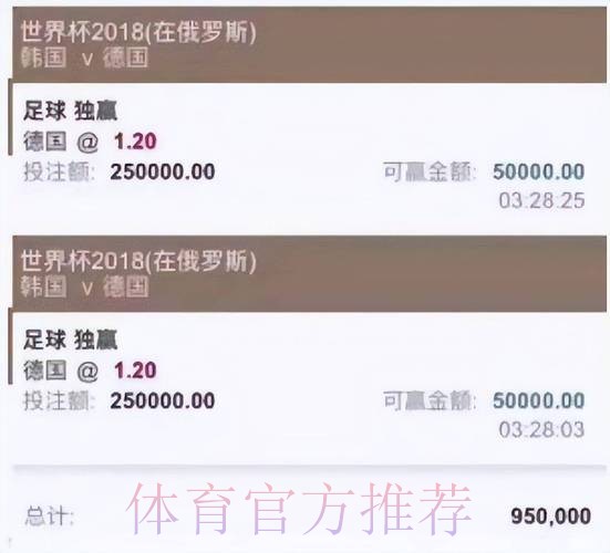 如何选择正规且官方认可的世界杯投注平台